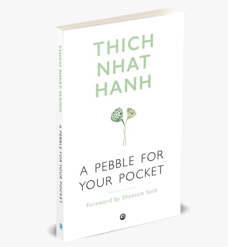 A Pebble For Your Pocket