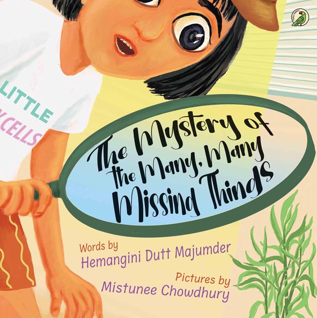 The Mystery Of The Many Many Missing Things