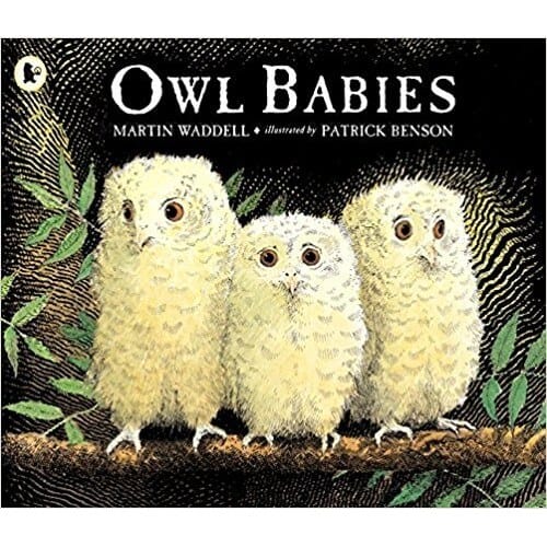 Owl Babies