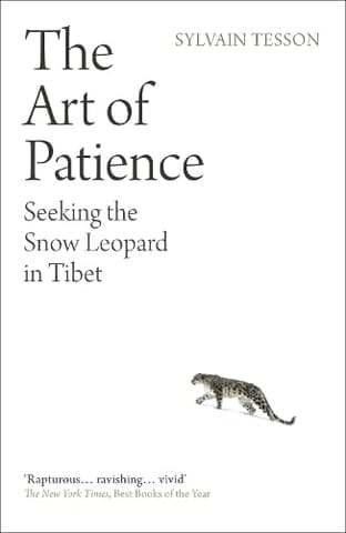 The Art Of Patience Seeking The Snow Leopard In Tibet