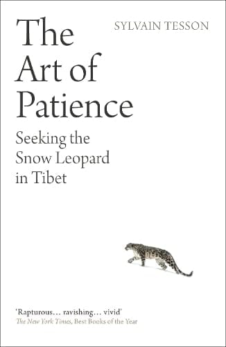 The Art Of Patience Seeking The Snow Leopard In Tibet