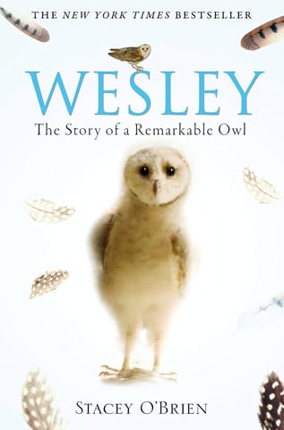 Wesley The Story Of A Remarkable Owl