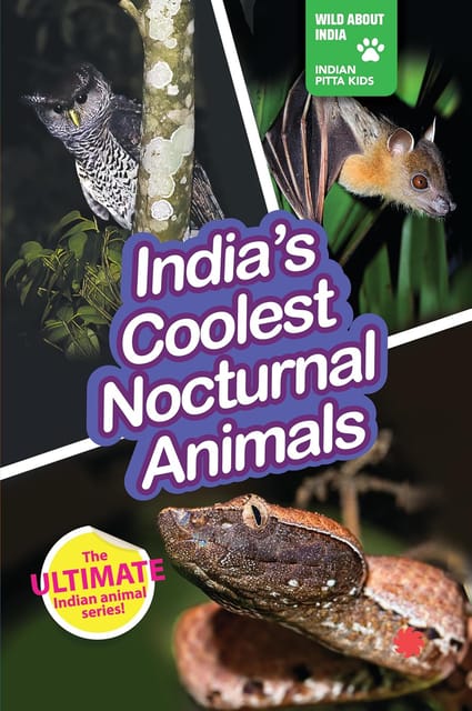 INDIA’S COOLEST NOCTURNAL ANIMALS