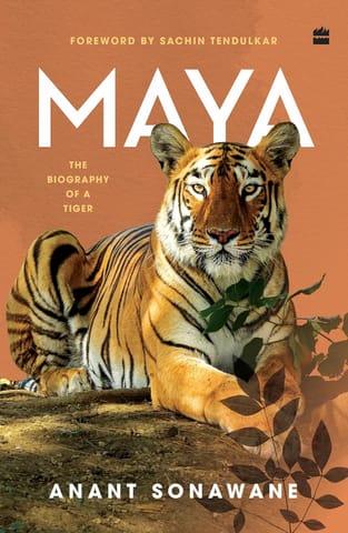 Maya The Biography Of A Tiger