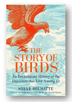 The Story of Birds