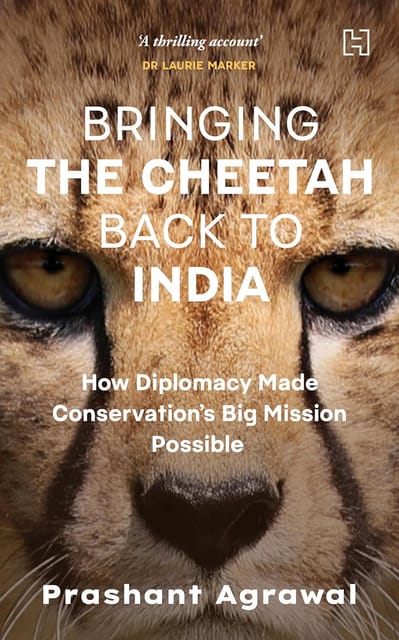 Bringing The Cheetah Back To India How Diplomacy Made Conservations Big Mission Possible