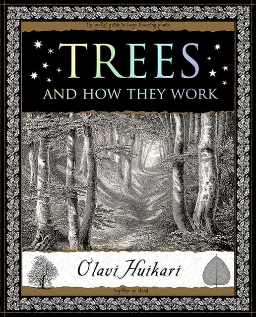 Trees And How They Work (wooden Books U.k. Series)