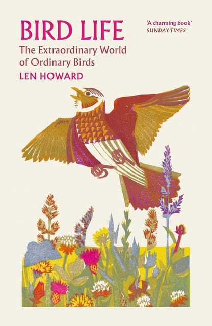 Birds As Individuals The Extraordinary World Of Ordinary Birds