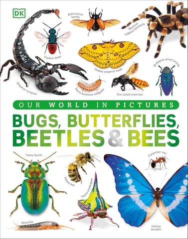 Bugs, Butterflies, Beetles And Bees