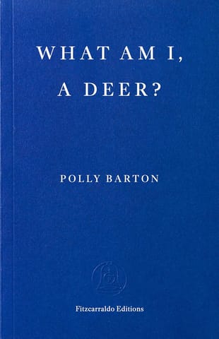 What Am I, A Deer?