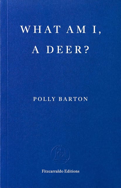 What Am I, A Deer?