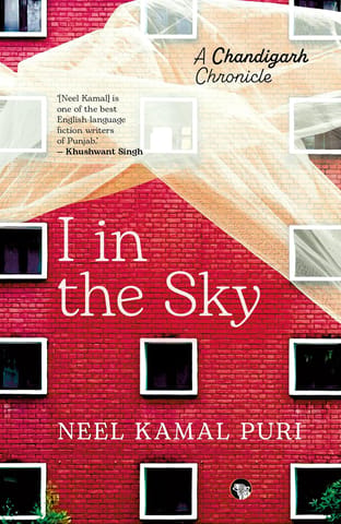 I In The Sky A Chandigarh Chronicle