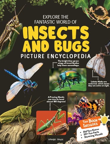 Explore Fantastic World Of Insects And Bugs Picture Encyclopedia