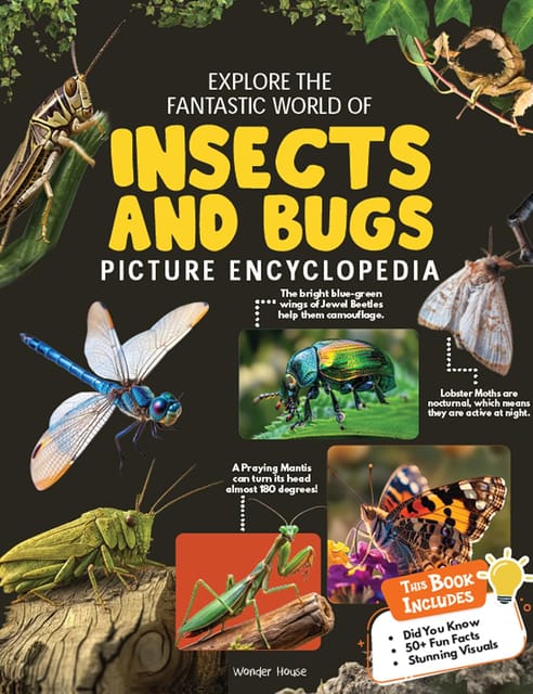 Explore Fantastic World Of Insects And Bugs Picture Encyclopedia