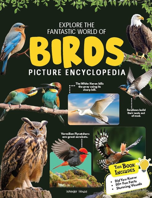 Explore Fantastic World Of Birds Picture Encyclopedia