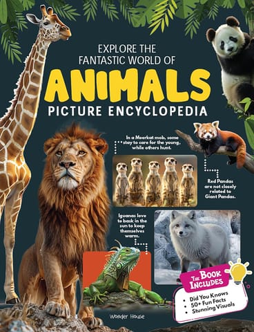 Explore Fantastic World Of Animals Picture Encyclopedia