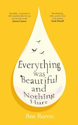 Everything Was Beautiful And Nothing Hurt