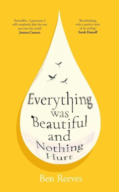 Everything Was Beautiful And Nothing Hurt