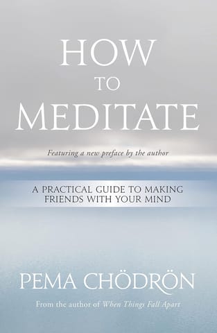 How To Meditate A Practical Guide To Making Friends With Your Mind