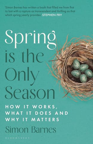 Spring Is The Only Season How It Works, What It Does And Why It Matters