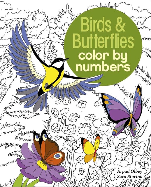 Birds & Butterflies Color By Numbers