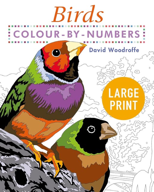 Large Print Colour By Numbers Birds