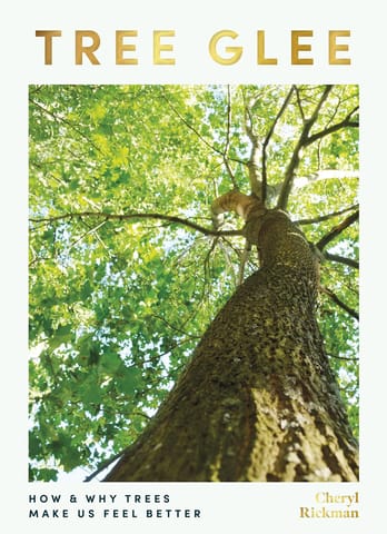 Tree Glee How And Why Trees Make Us Feel Better