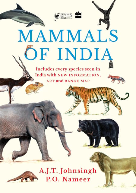 Mammals Of India