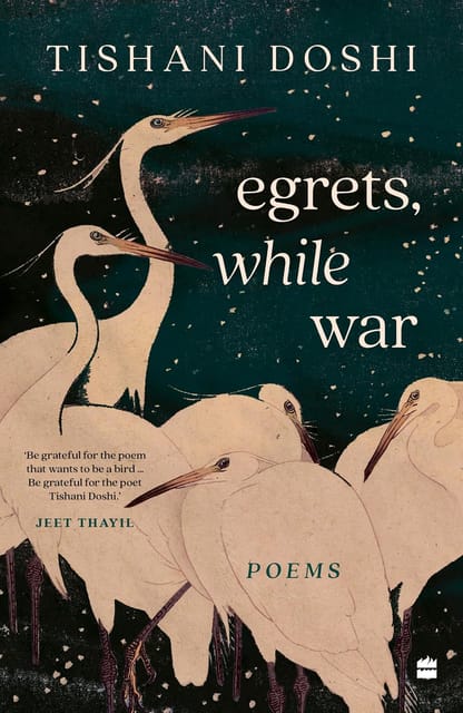 Egrets, While War