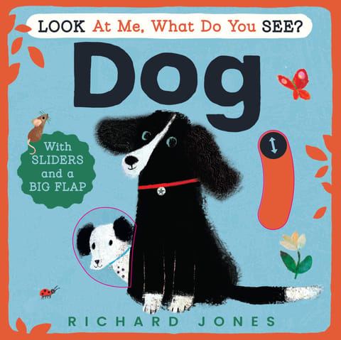 Look At Me, What Do You See? Dog