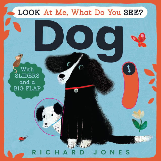 Look At Me, What Do You See? Dog