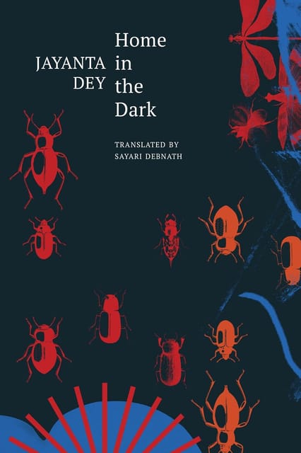 Home In The Dark Selected Stories (the India List)