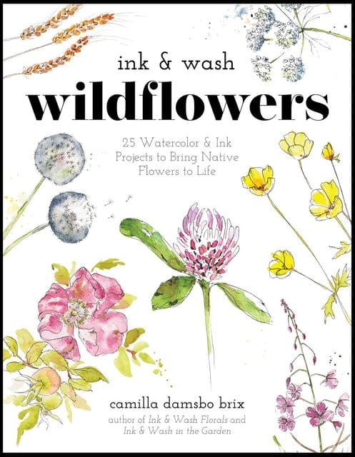 Ink & Wash Wildflowers 25 Watercolor & Ink Projects To Bring Native Flowers To Life