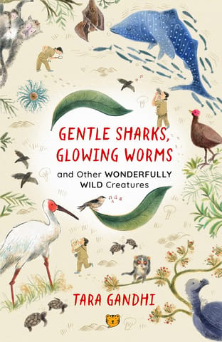 Gentle Sharks, Glowing Worms