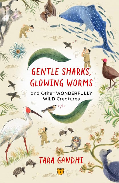 Gentle Sharks, Glowing Worms
