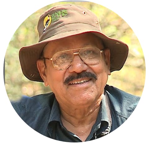 Asad Rahmani