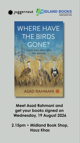 WHERE HAVE THE BIRDS GONE?