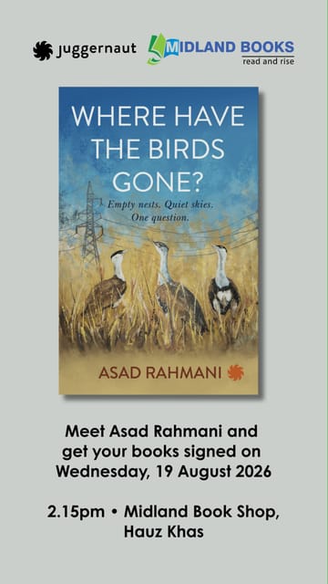 WHERE HAVE THE BIRDS GONE?