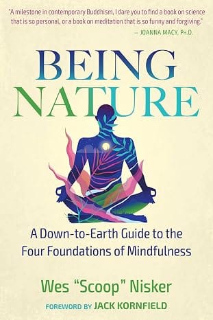 Being Nature A Down-to-earth Guide To The Four Foundations Of Mindfulness