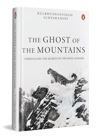 The Ghost Of The Mountains