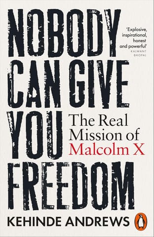 Nobody Can Give You Freedom The Real Mission Of Malcolm X