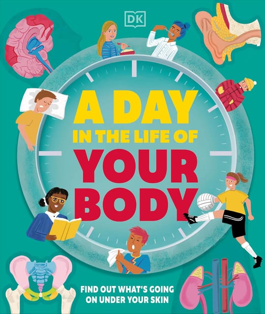 A Day In The Life Of Your Body Find Out Whats Going On Under Your Skin