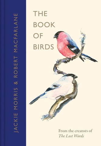 The Book Of Birds A Field Guide To Wonder And Loss