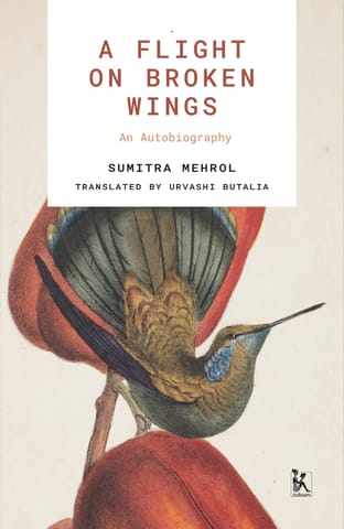 A Flight on Broken Wings