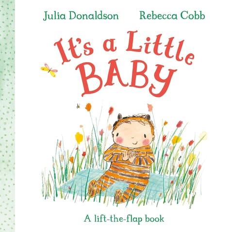Its A Little Baby A Lift-the-flap Book