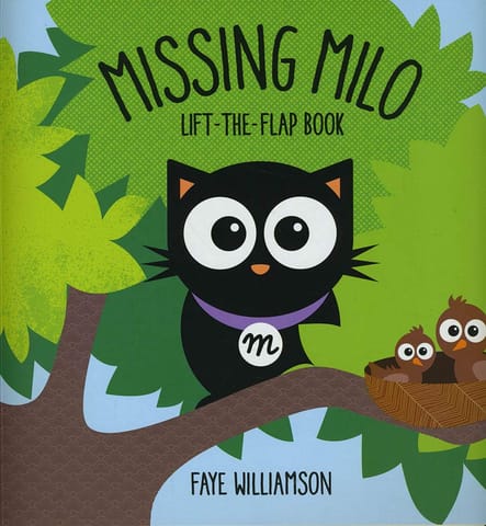 Missing Milo - Lift The Flap Book
