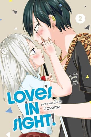 Loves In Sight!, Vol. 2 The Discipline Of Reflective Leadership