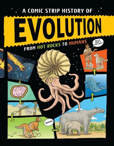A Comic Strip History Of Evolution From Hot Rocks To Humans