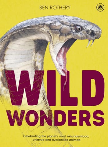 Wild Wonders Celebrating The Planets Most Misunderstood, Unloved And Overlooked Animals