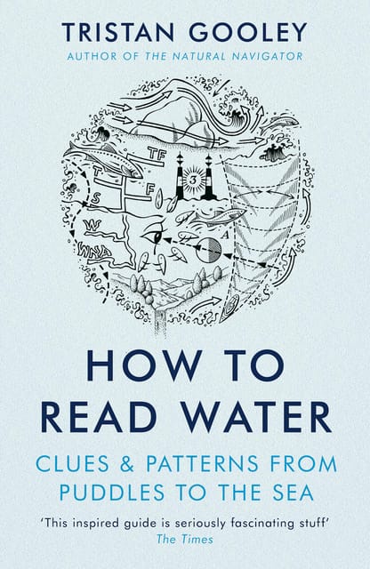 How To Read Water Clues, Signs & Patterns From Puddles To The Sea